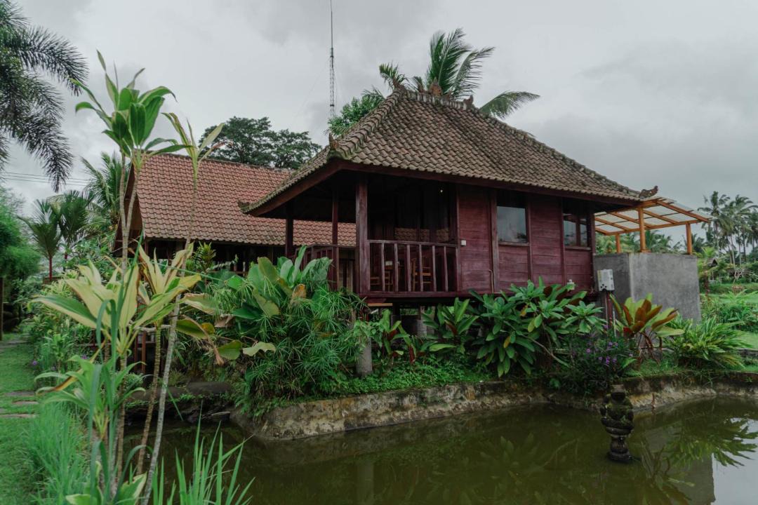 Photo of Others in Taro