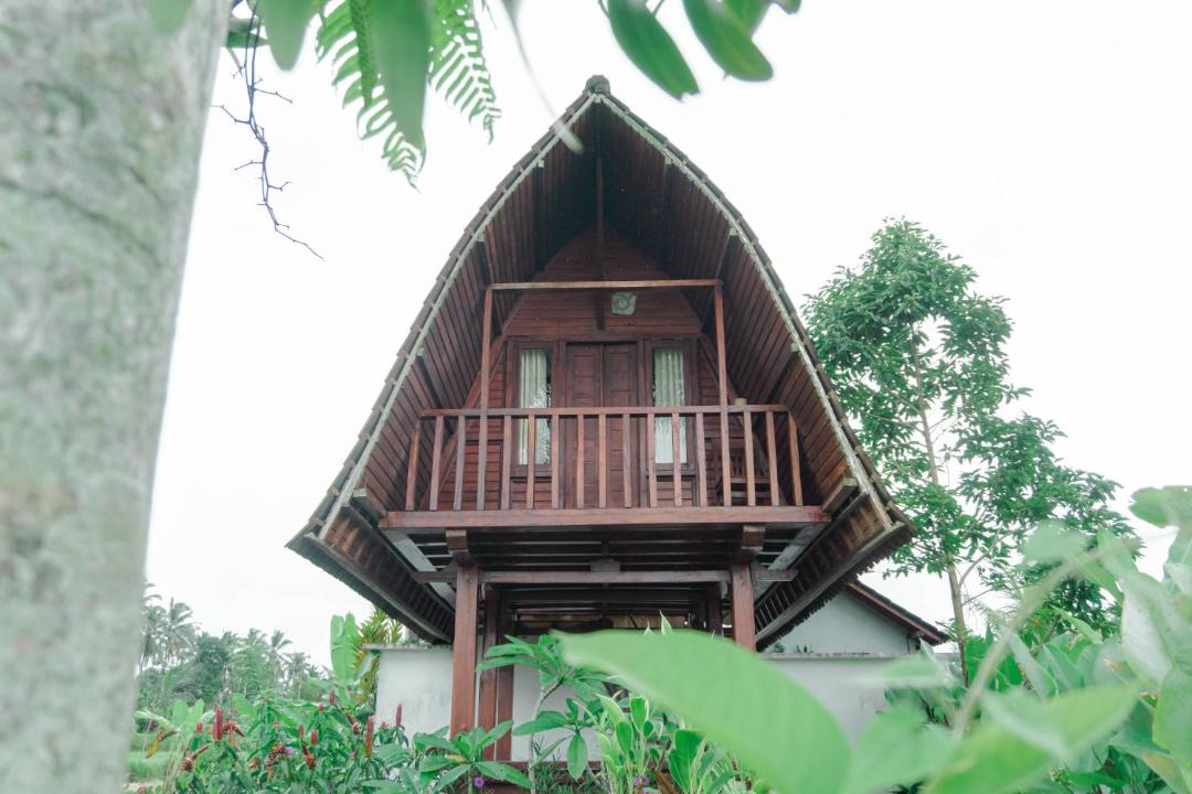 Photo of Others in Taro