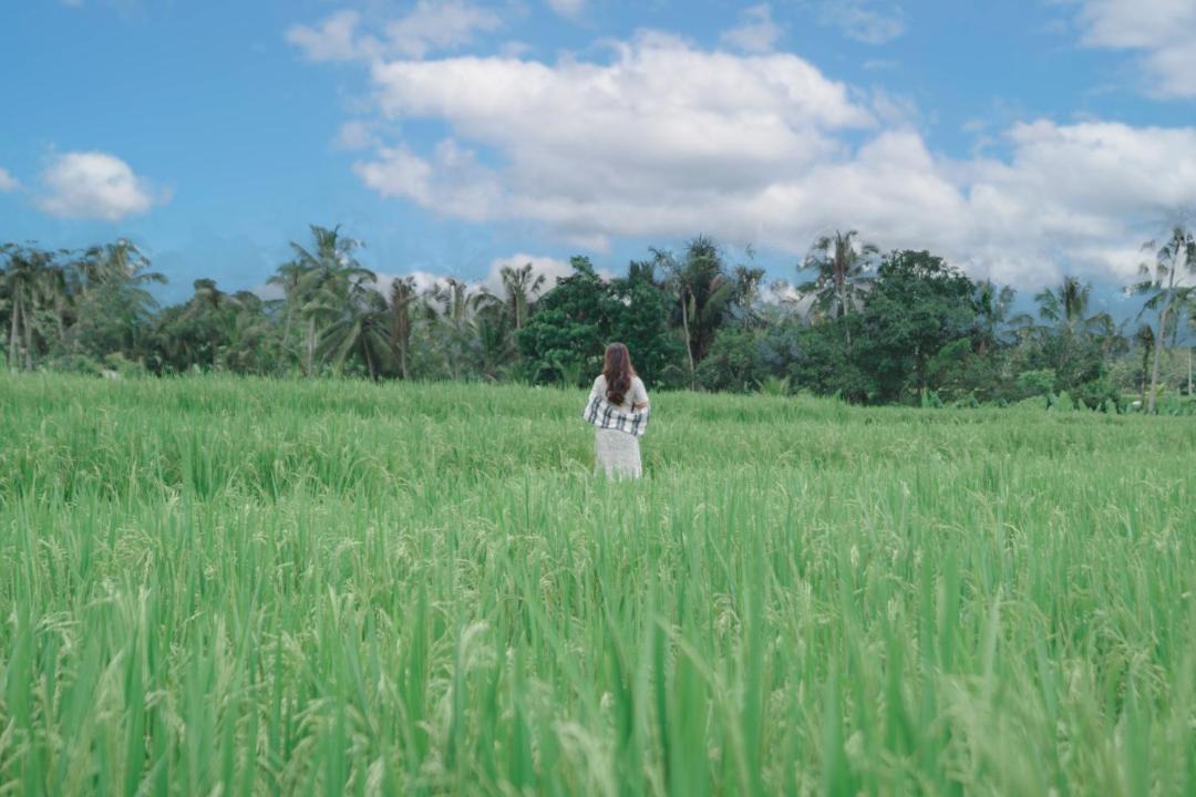 Photo of Others in Taro