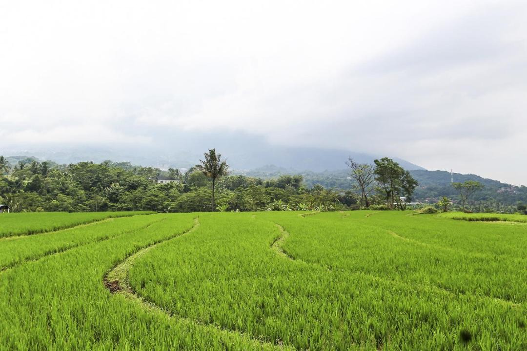 Photo of Others in Bandungan