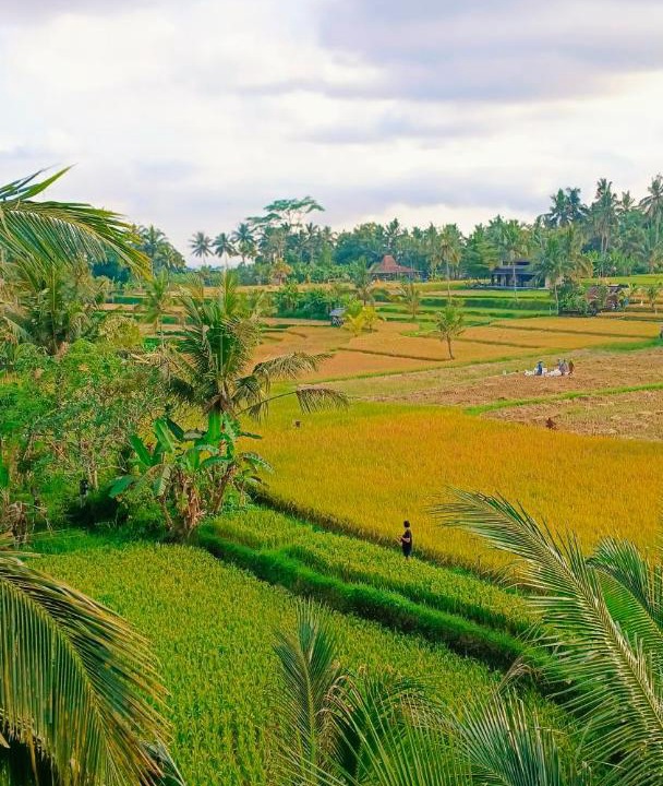 Photo of Others in Tampaksiring