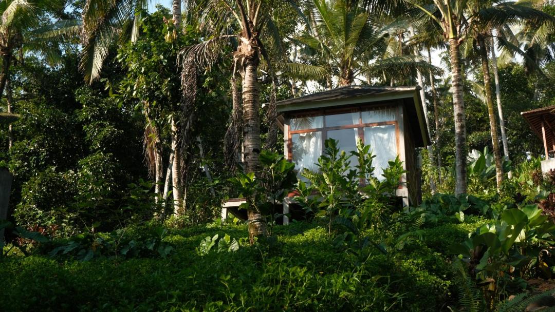 Photo of Others in East Selemadeg