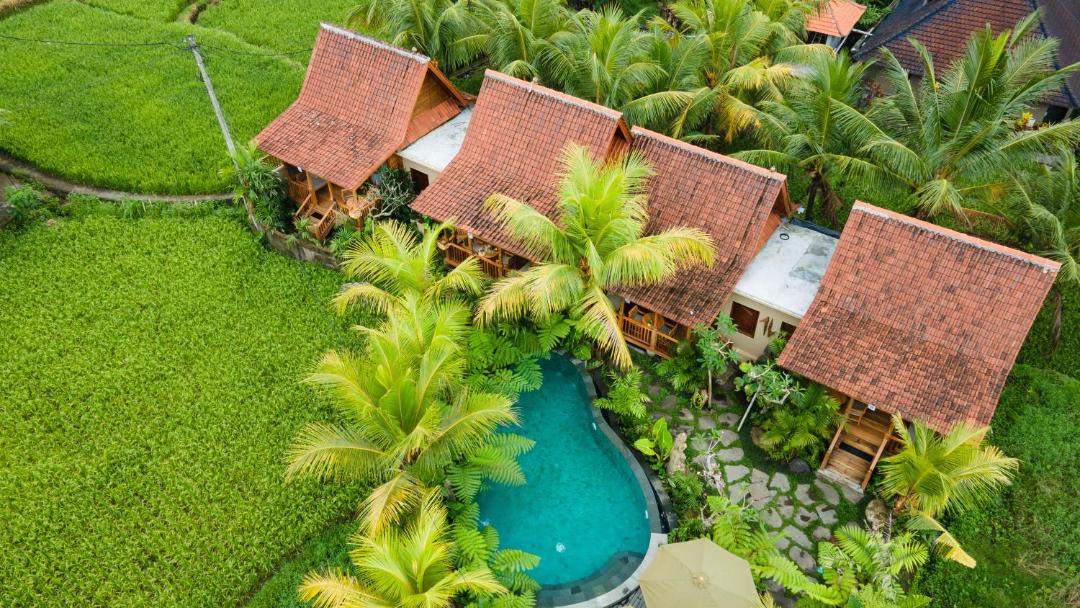 Photo of Others in Ubud