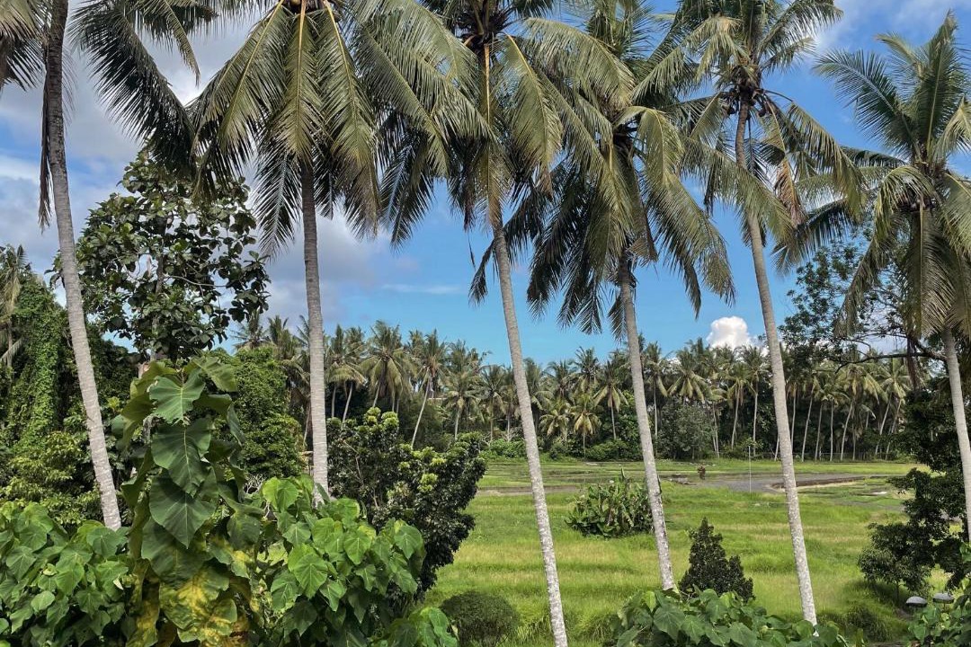Photo of Others in Pengosekan