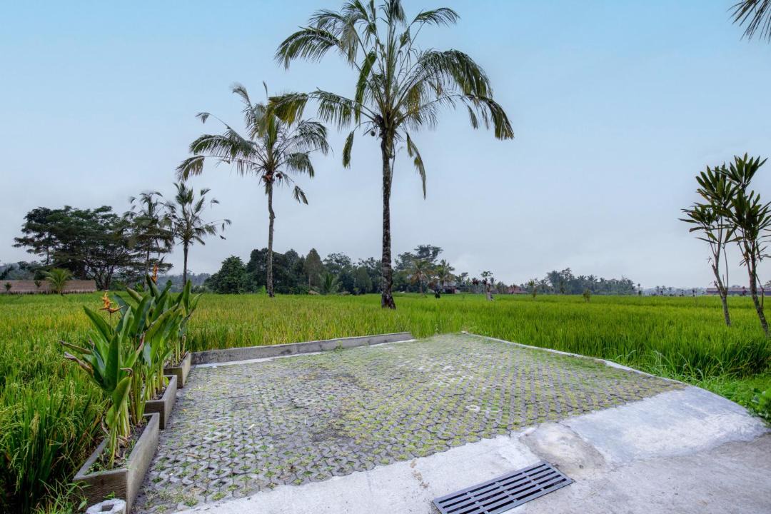 Photo of Others in Sebatu