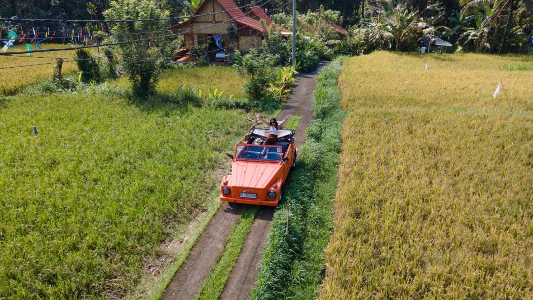 Photo of Others in Payangan