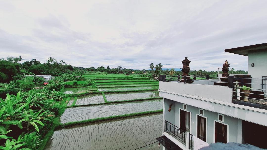 Photo of Others in Melayang