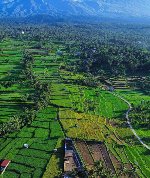 Photo of Others in Kecamatan Pringgasela