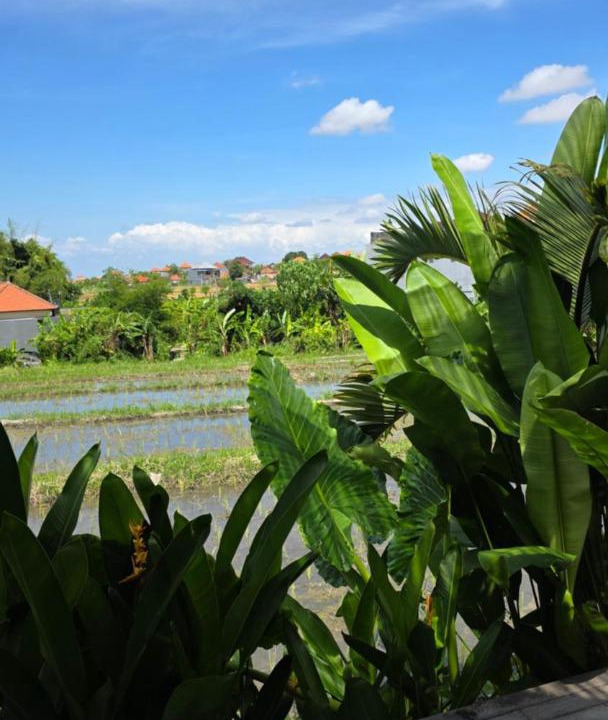 Photo of Others in Batubulan