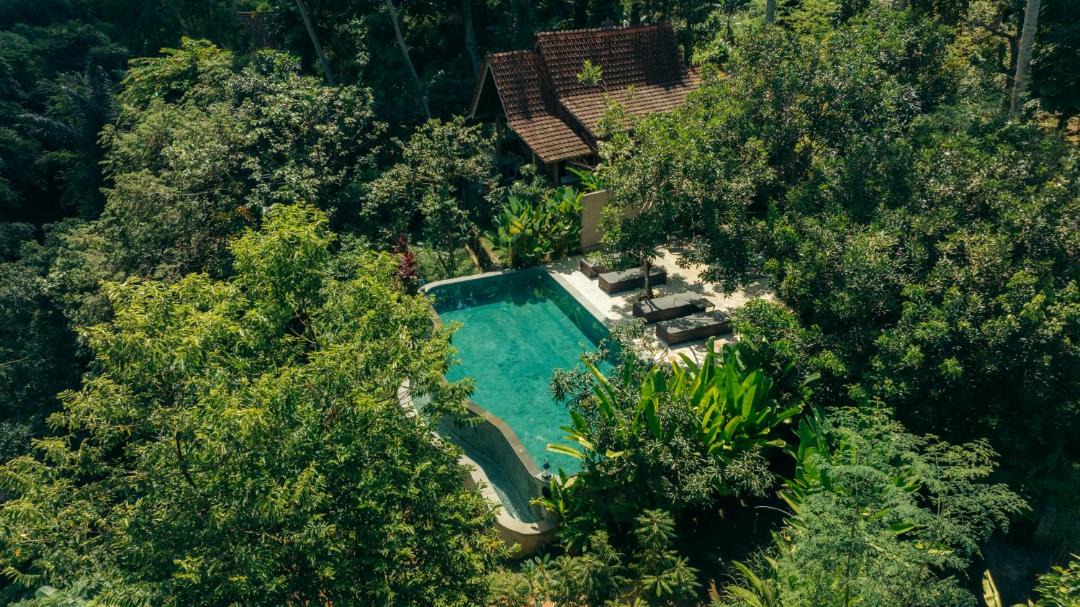 Photo of Others in Ubud