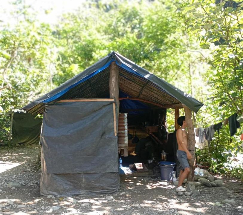 Photo of Others in Bohorok