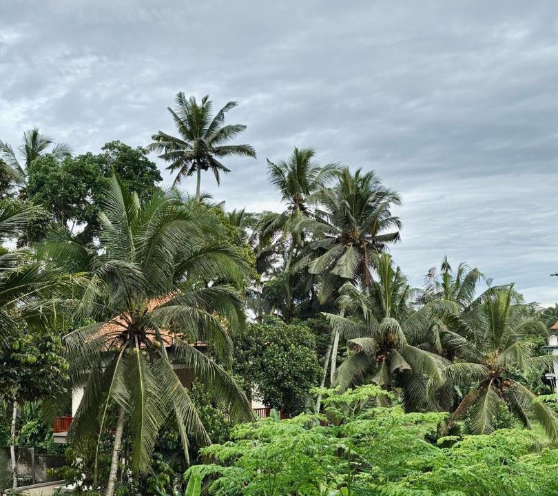 Photo of Others in Sambahan