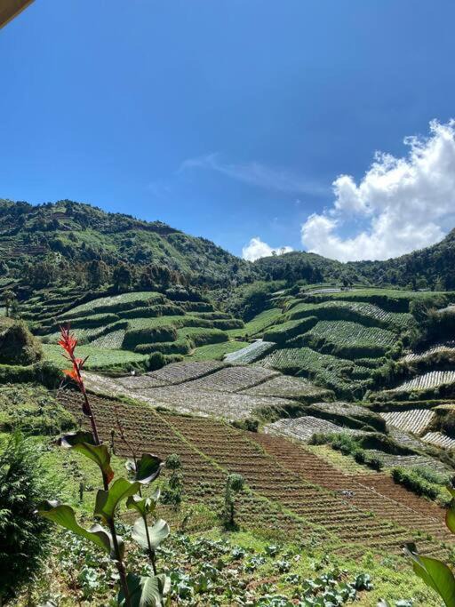 Photo of Others in Dieng Kulon
