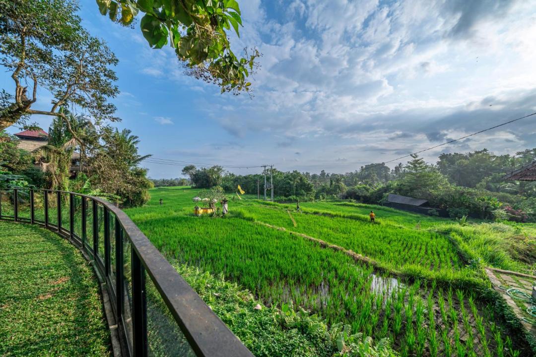 Photo of Others in Pejeng