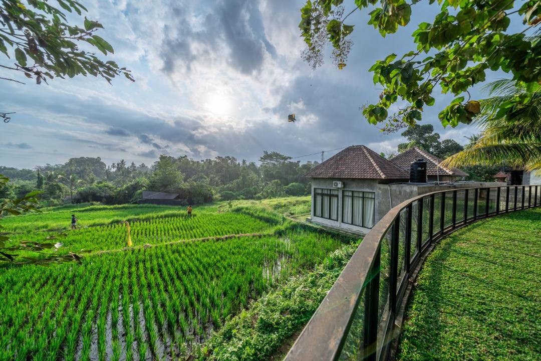 Photo of Others in Pejeng