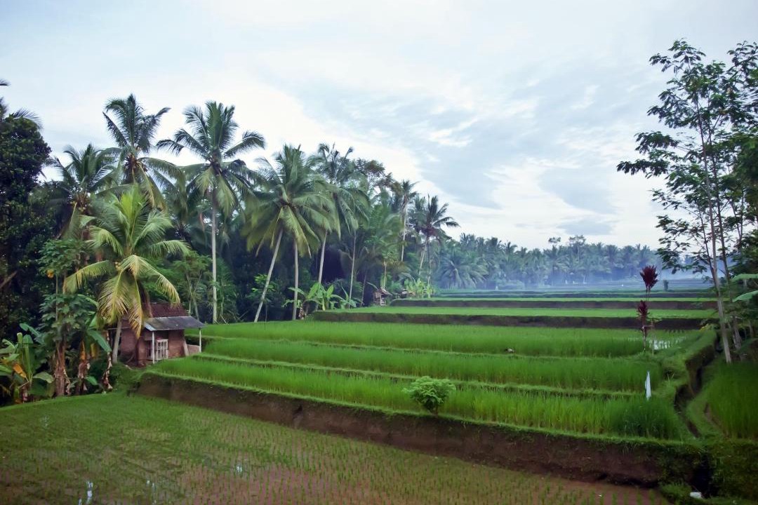 Photo of Others in Melayang