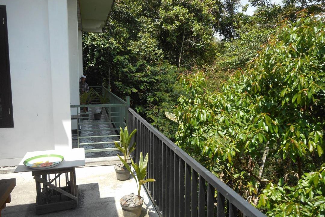 Photo of Patio Balcony in Besakih