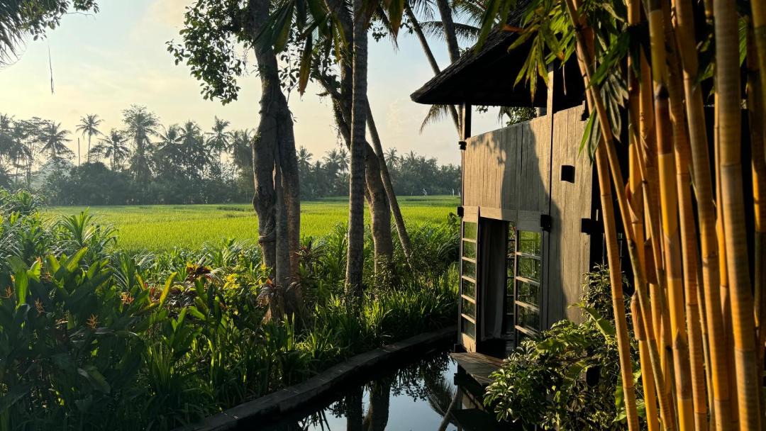Photo of Others in Lodtunduh