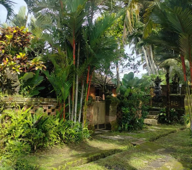 Photo of Others in Melayang
