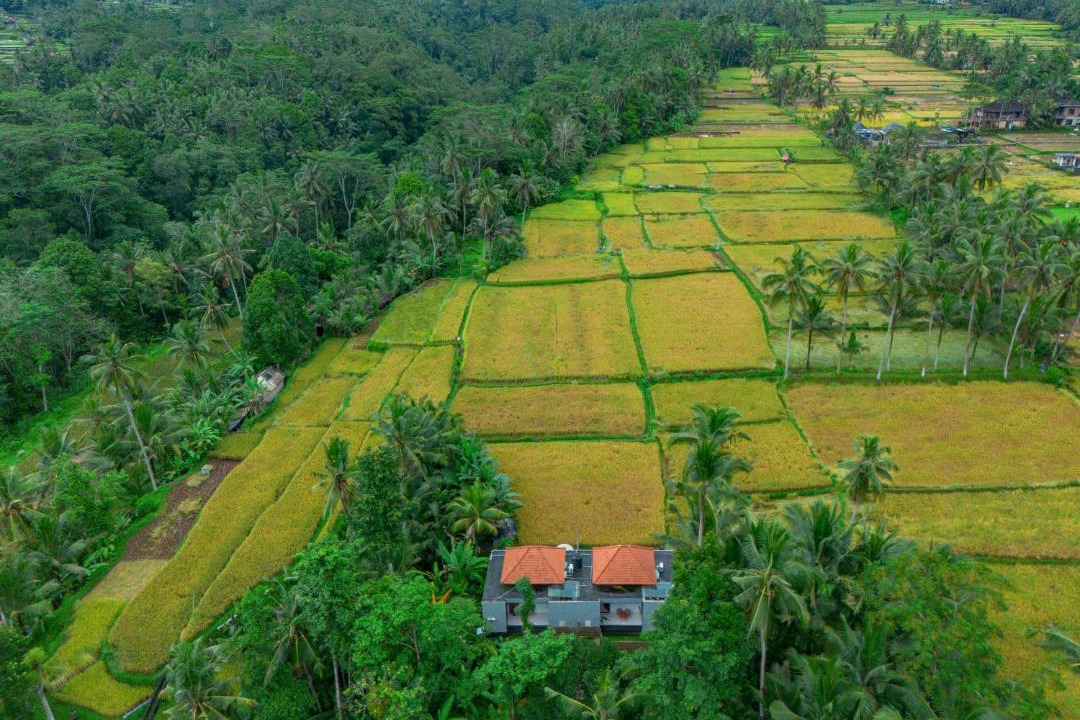 Photo of Others in Melayang