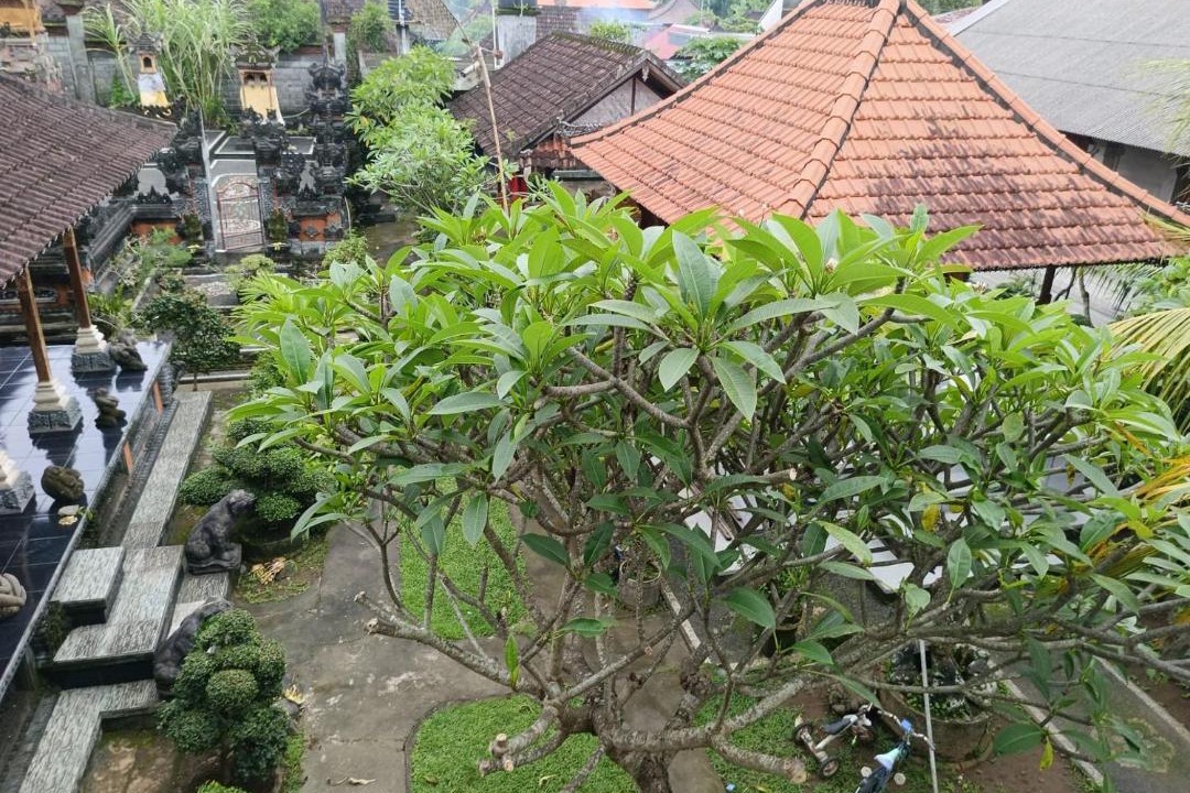 Photo of Others in Kemenuh