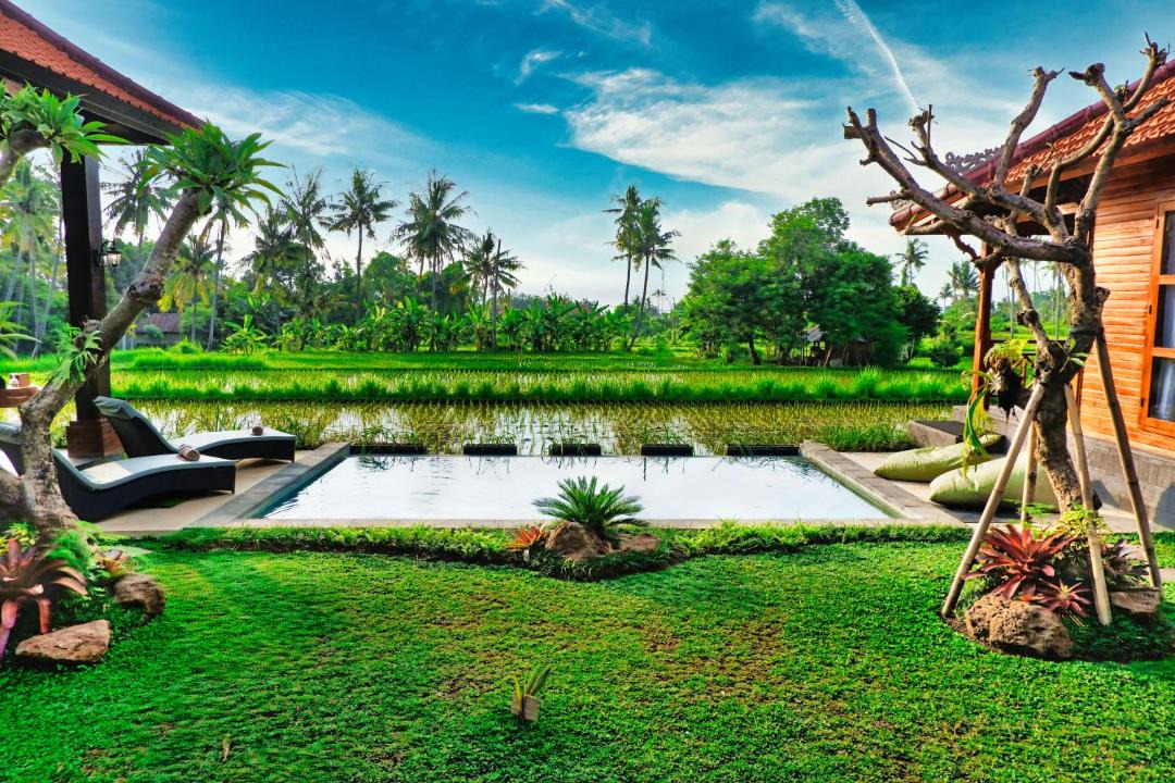 Photo of Others in Buleleng