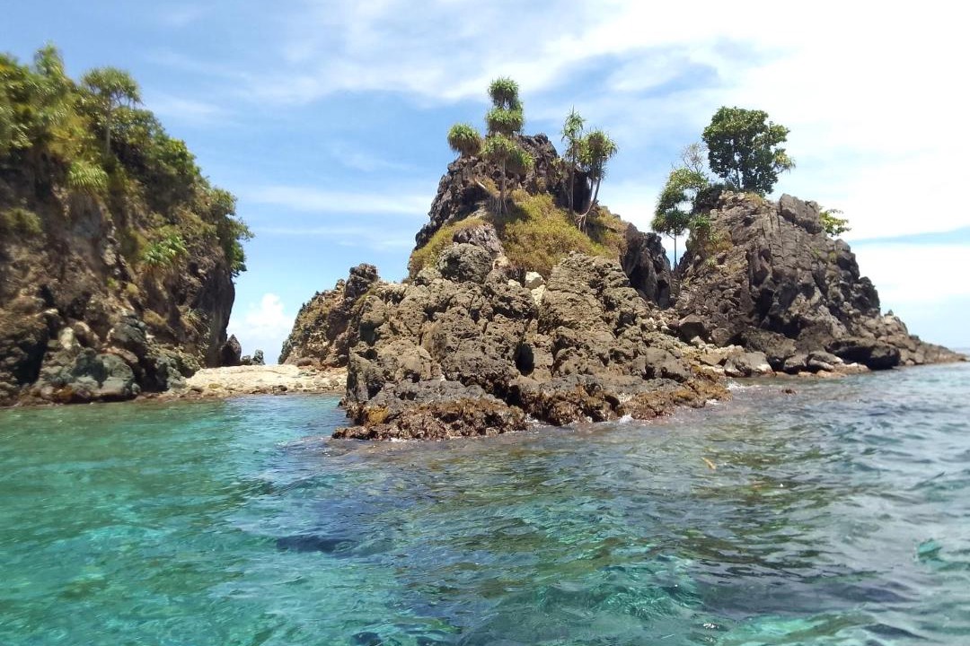Photo of Others in Raja Ampat