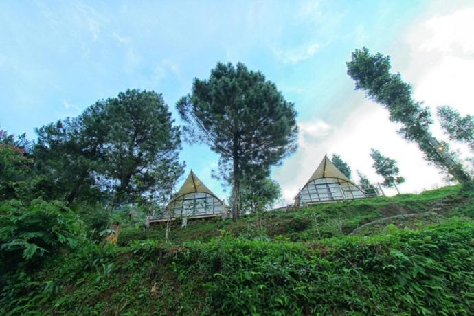 Photo of Others in Megamendung