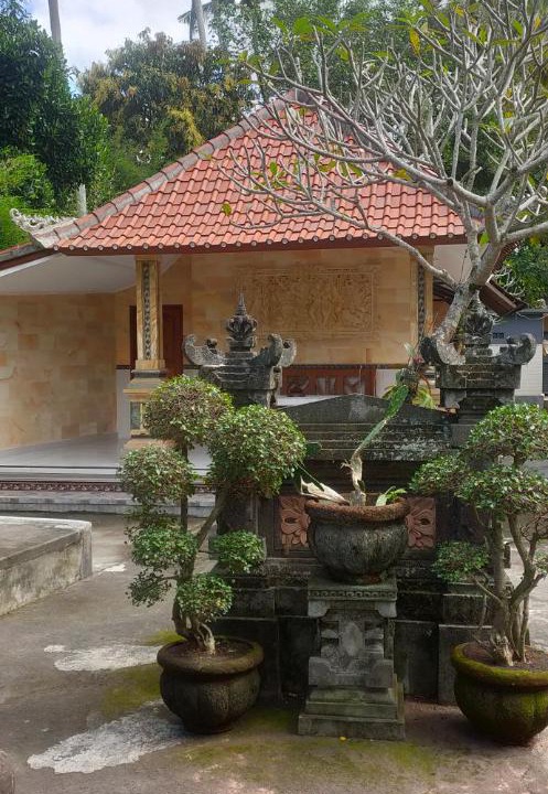 Photo of Buildings in Lodtunduh