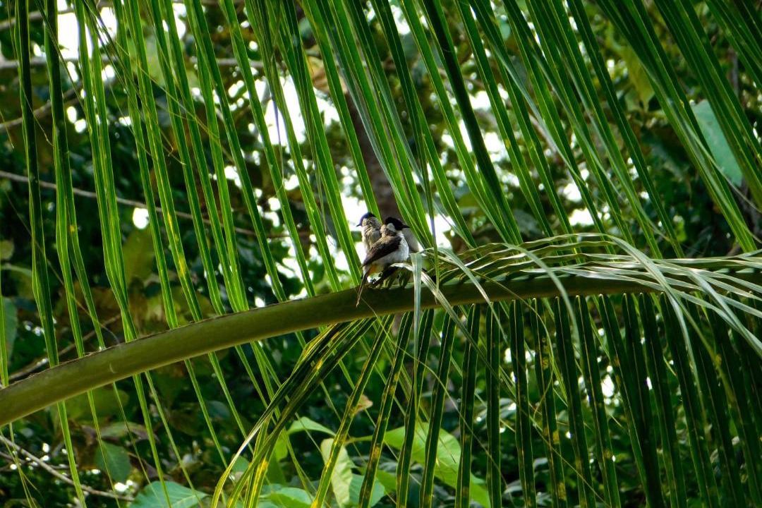 Photo of Others in Batu Karas