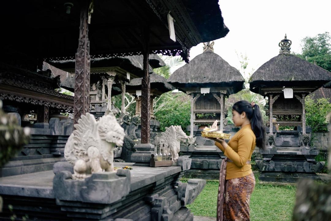 Photo of Others in Taro