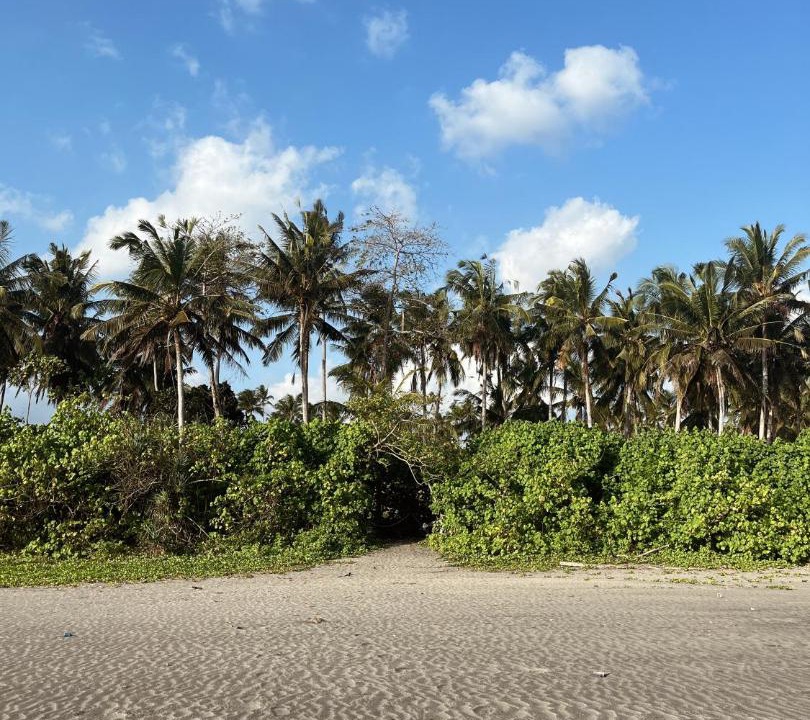 Photo of Others in West Selemadeg