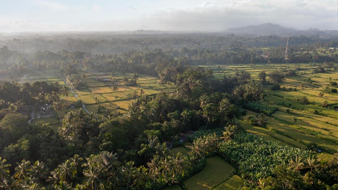 Photo of Others in Payangan
