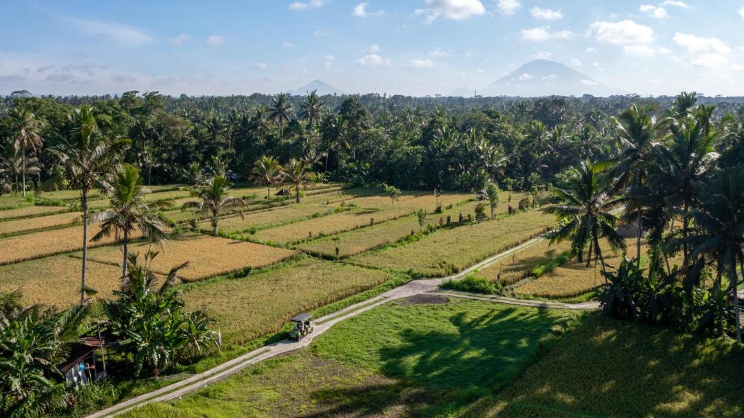 Photo of Others in Payangan