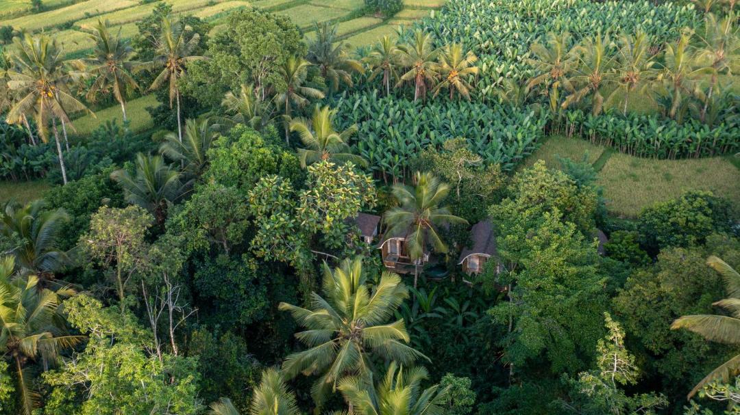 Photo of Others in Payangan