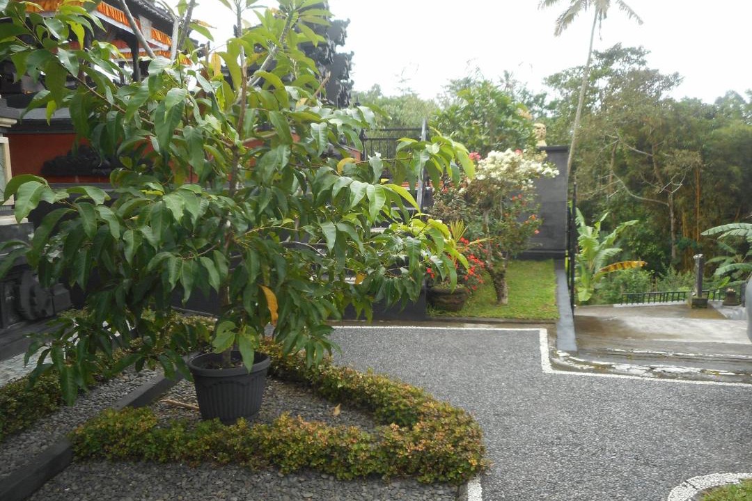 Photo of Outdoor in Besakih