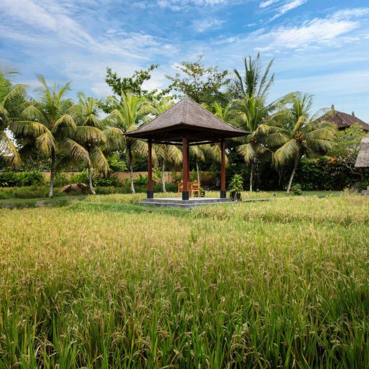 Photo of Others in Peliatan