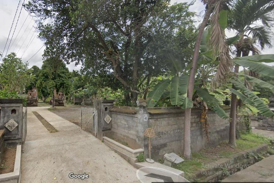 Photo of Others in Mengwi