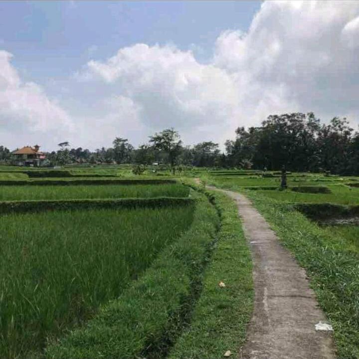Photo of Others in Sambahan