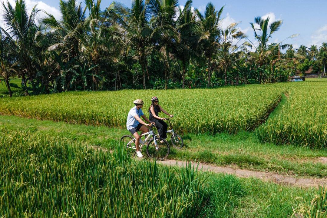 Photo of Others in Sebatu