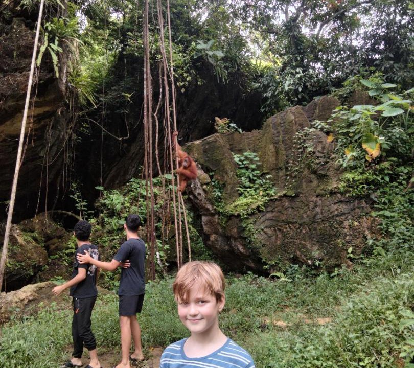 Photo of Others in Bohorok