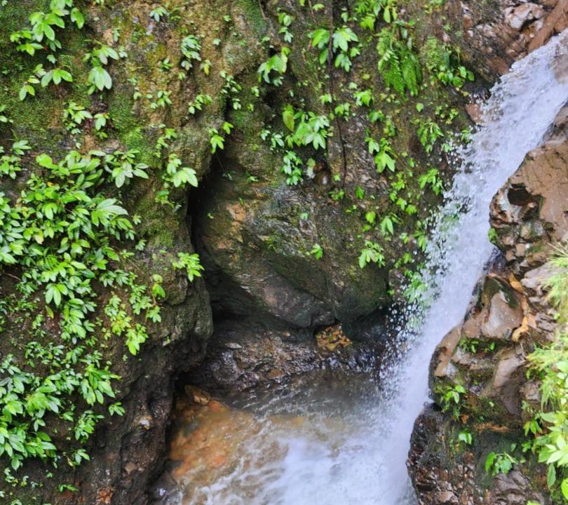 Photo of Others in Bukit Lawang