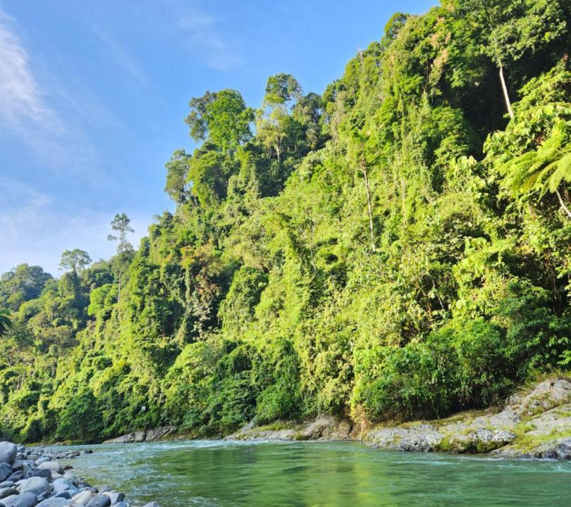 Photo of Others in Bukit Lawang