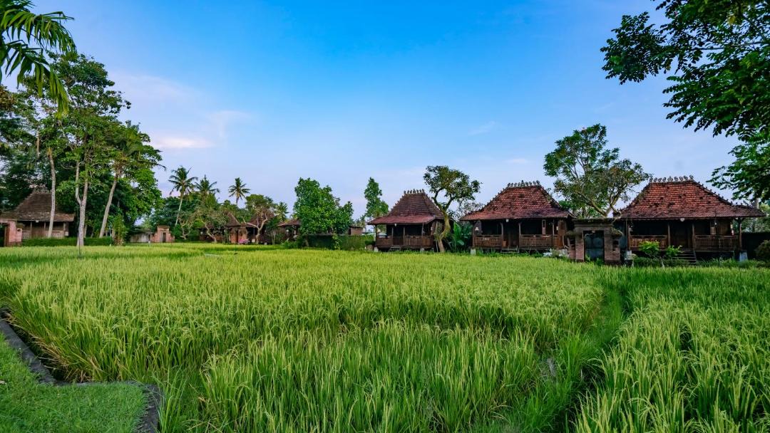 Photo of Others in Peliatan