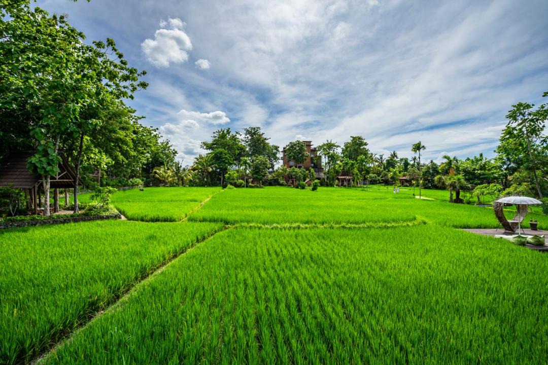 Photo of Others in Peliatan