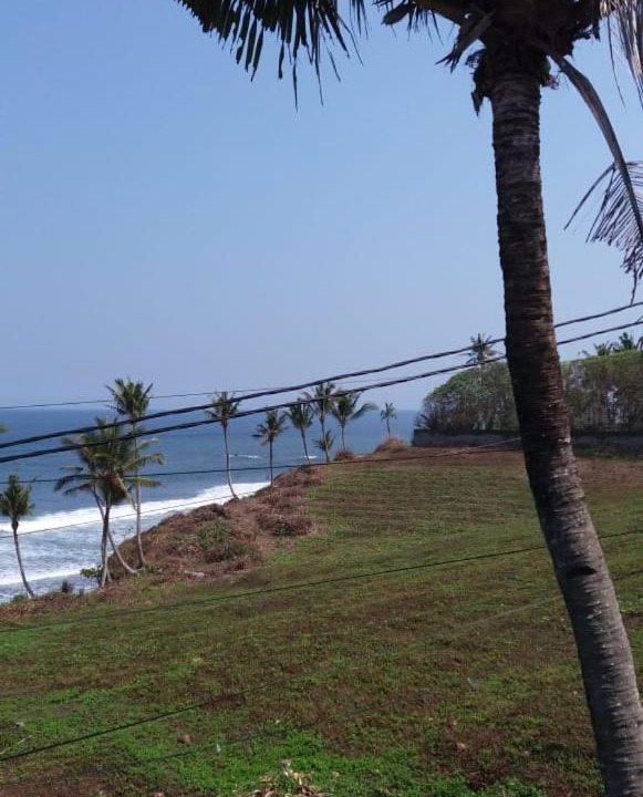 Photo of Others in West Selemadeg