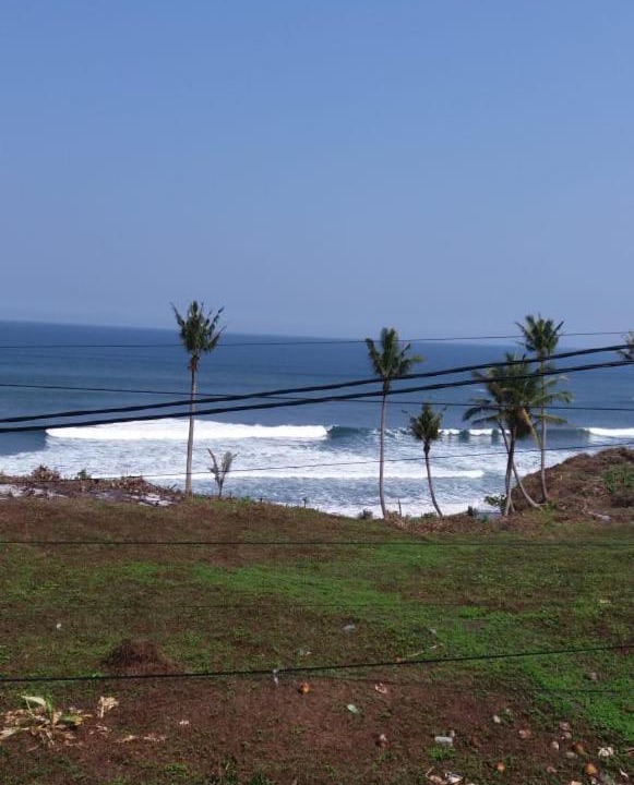 Photo of Others in West Selemadeg