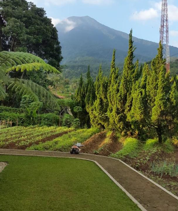 Photo of Outdoor in Bogor