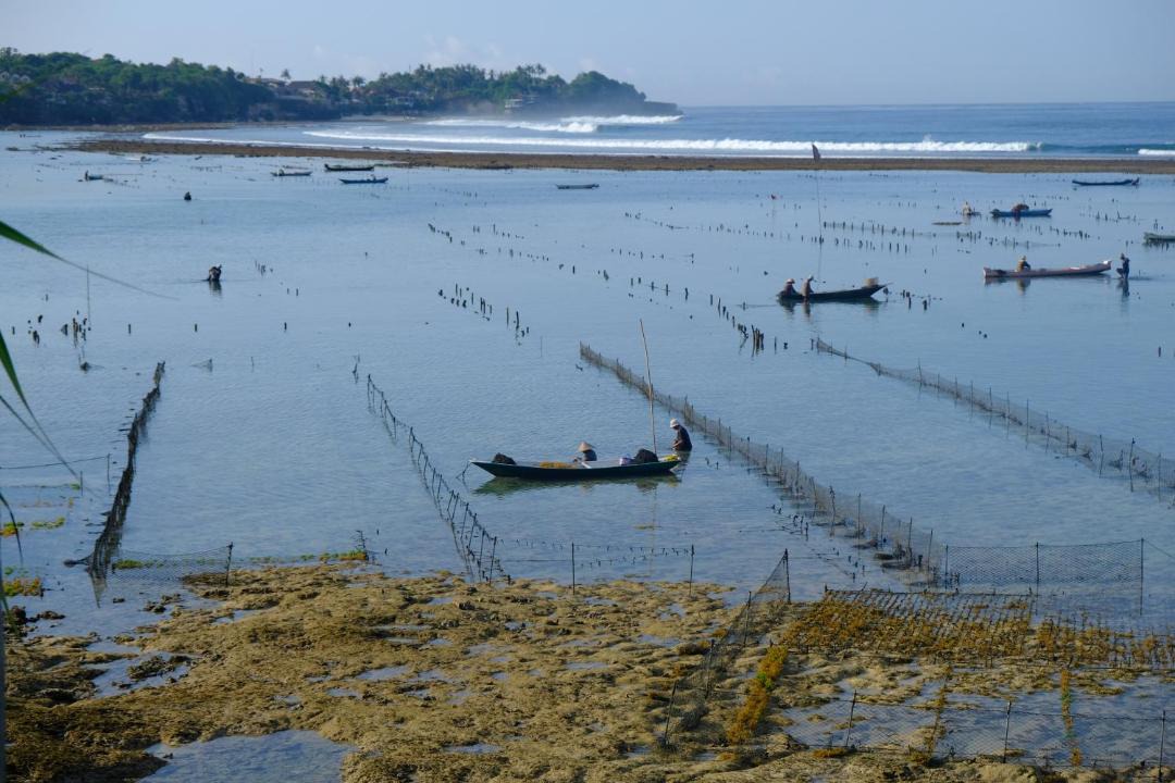 Photo of Others in Mushroom Bay