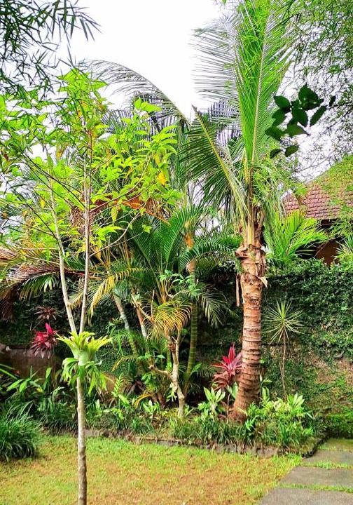 Photo of Outdoor in Kutuh Kaja